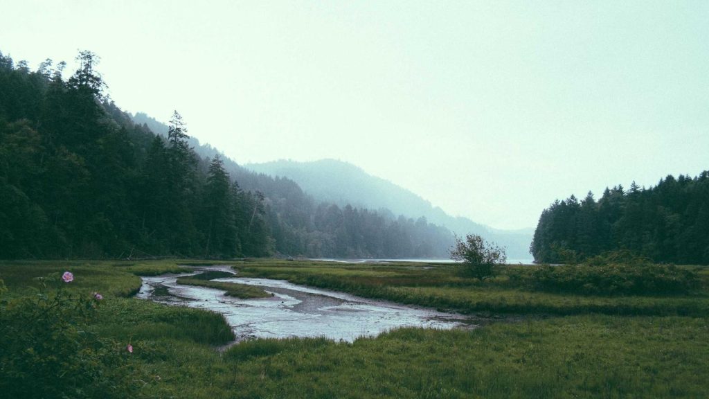 Reflections on SIGGRAPH 2025